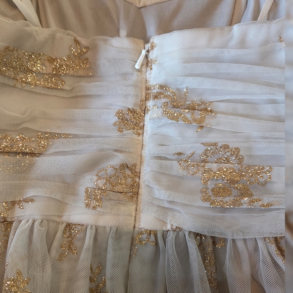 Blondie Nites Strapless Dress in Gold and Cream - Picture 9 of 11